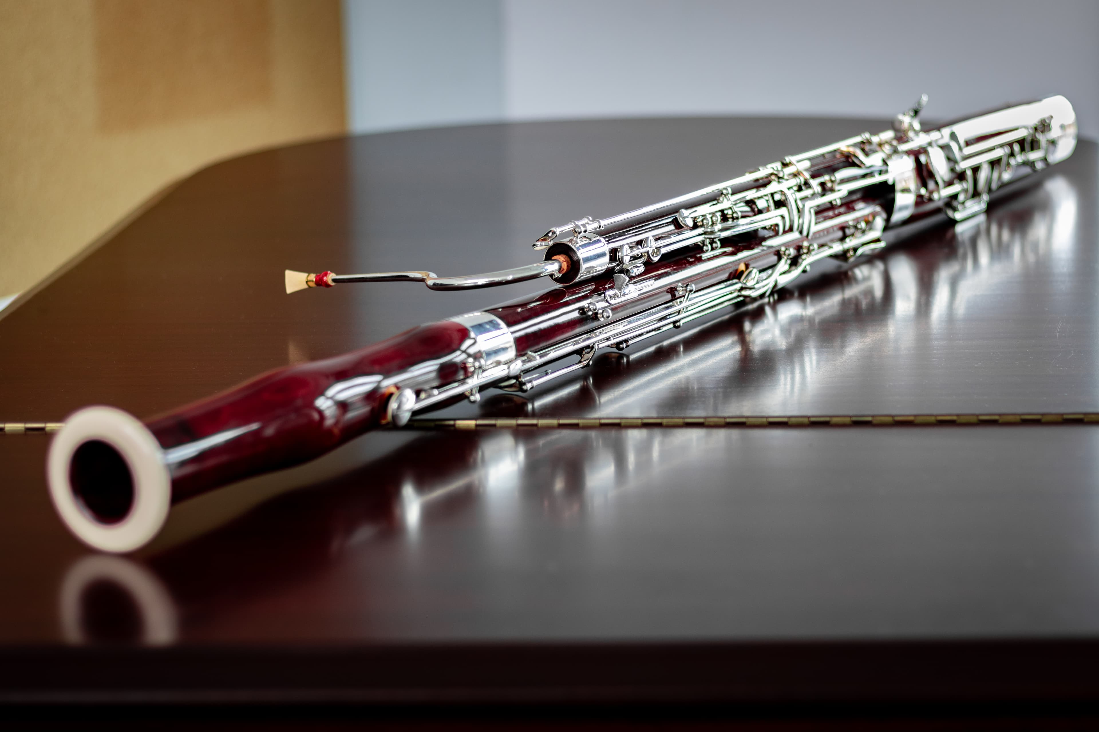 Bassoon — archival photograph