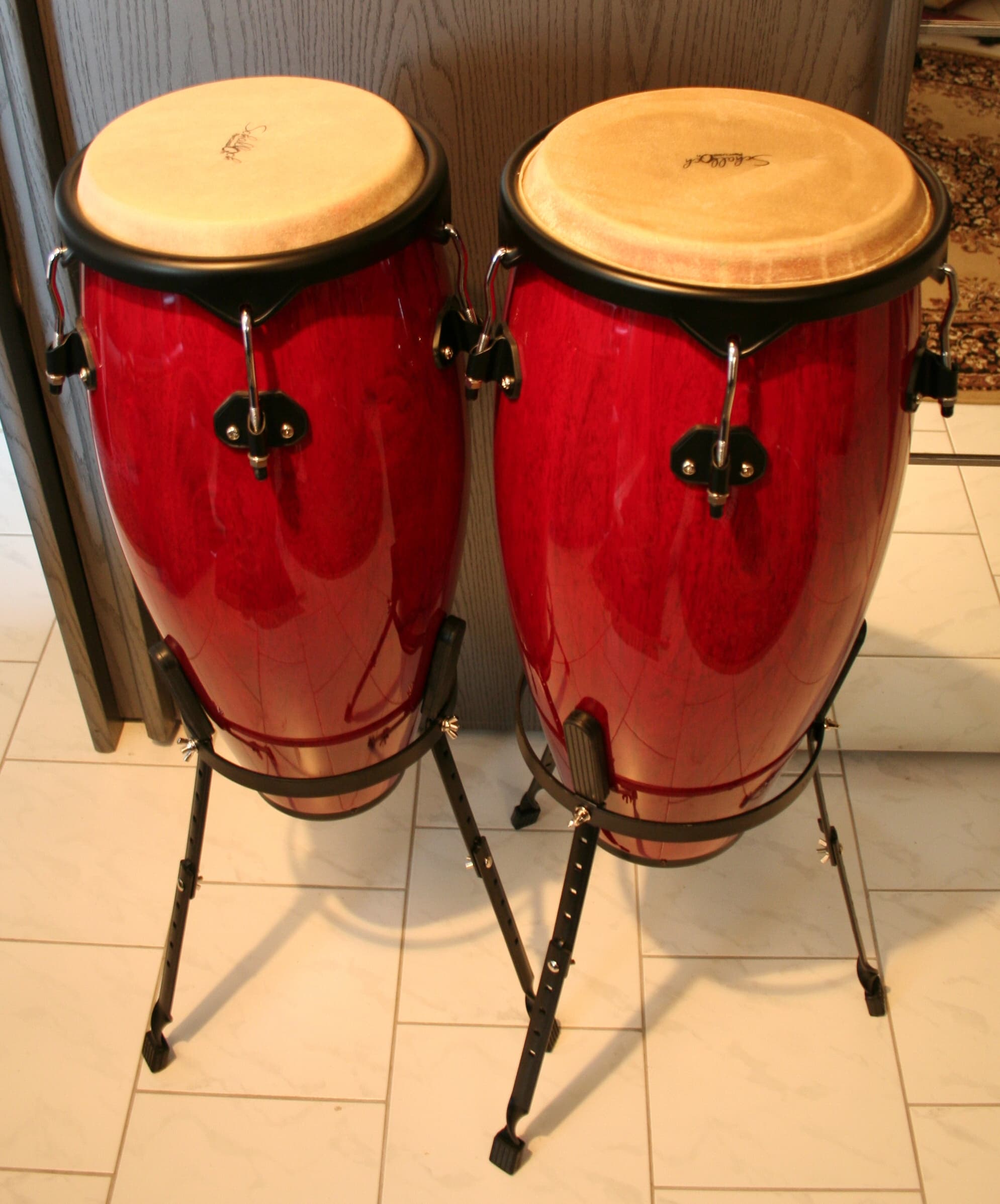 Conga — archival photograph