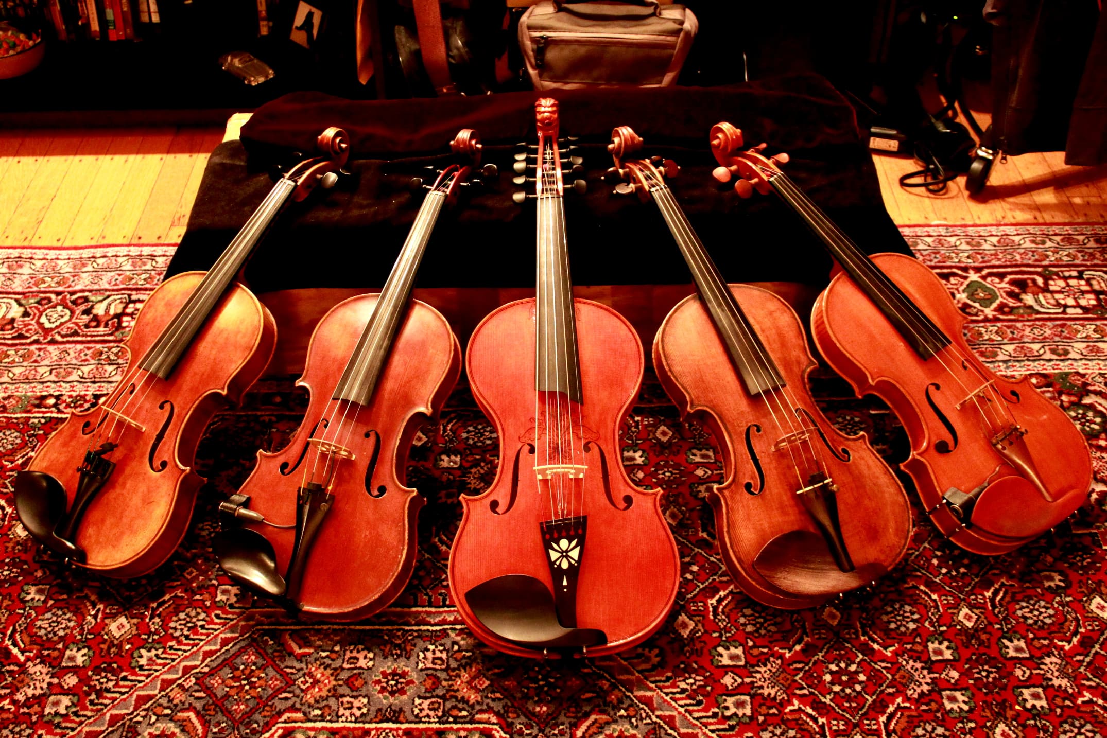 Fiddle — archival photograph