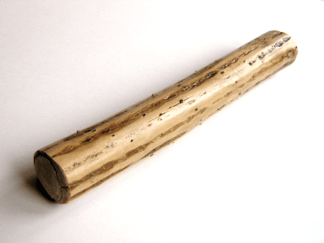 Rain Stick — archival photograph