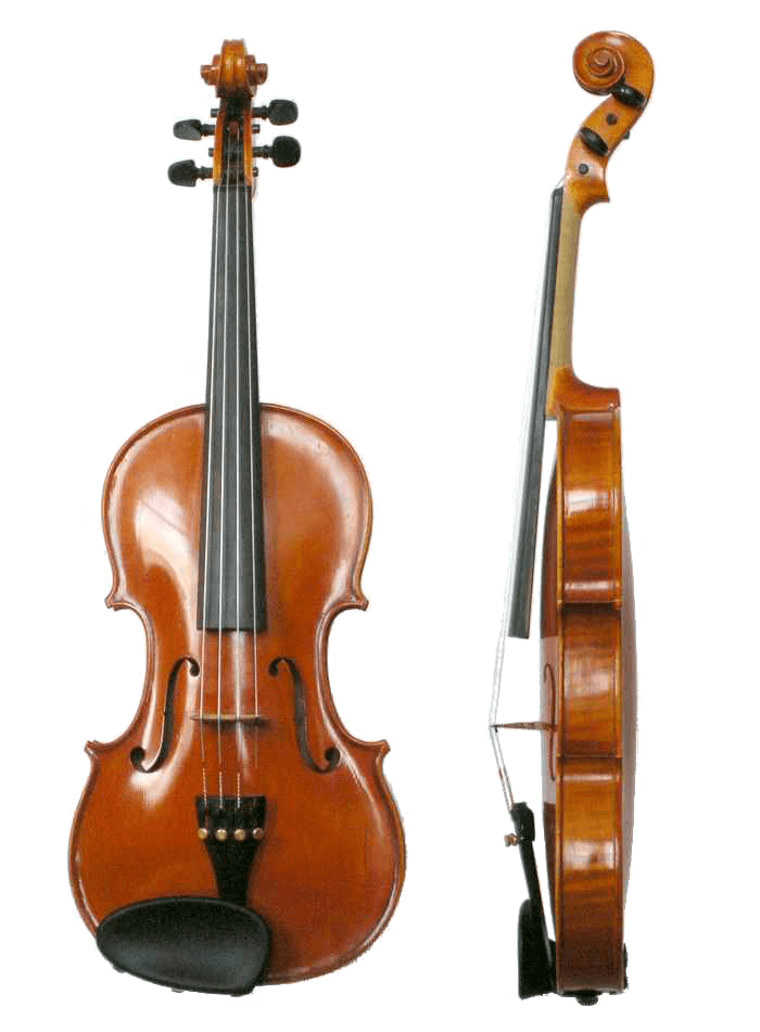 Violin — archival photograph